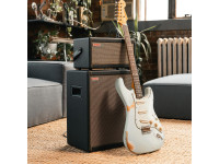 Positive Grid Spark CAB Positive Grid Spark CAB
